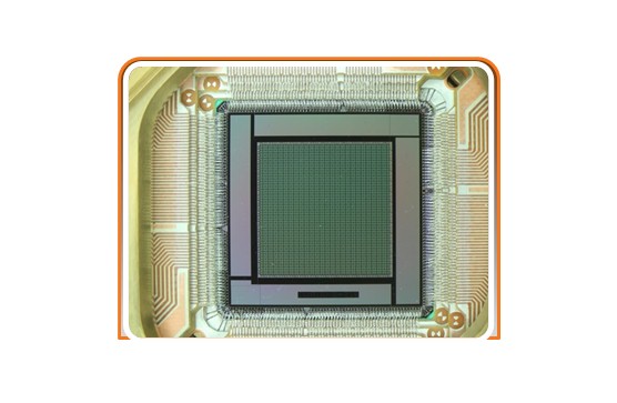 d-wave-logo